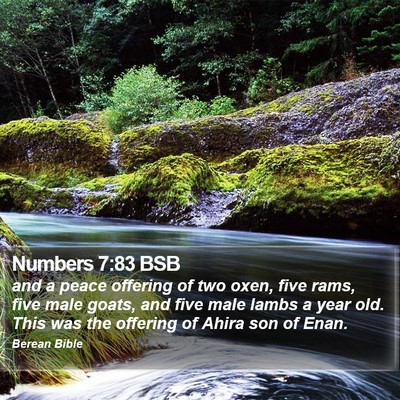 Numbers 7:83 BSB Bible Verse Image