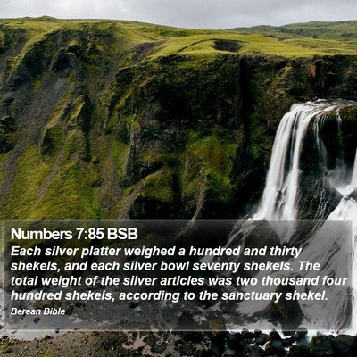 Numbers 7:85 BSB Bible Verse Image