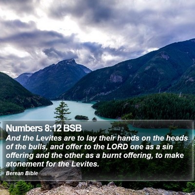 Numbers 8:12 BSB Bible Verse Image