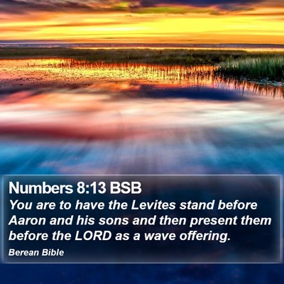 Numbers 8:13 BSB Bible Verse Image