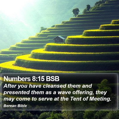 Numbers 8:15 BSB Bible Verse Image