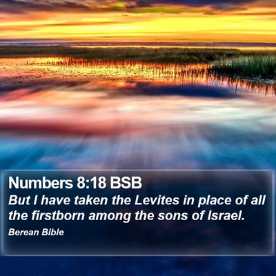 Numbers 8:18 BSB Bible Verse Image