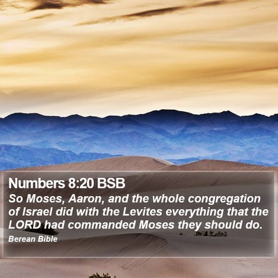 Numbers 8:20 BSB Bible Verse Image