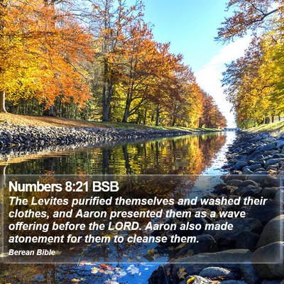 Numbers 8:21 BSB Bible Verse Image