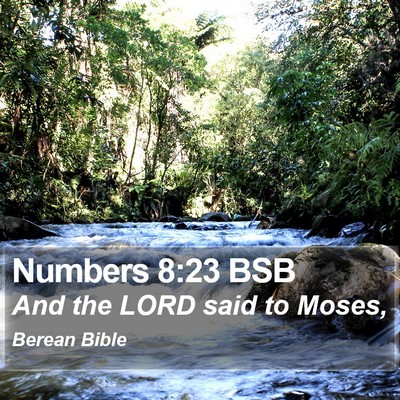 Numbers 8:23 BSB Bible Verse Image