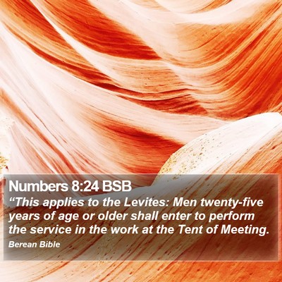 Numbers 8:24 BSB Bible Verse Image