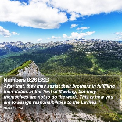 Numbers 8:26 BSB Bible Verse Image