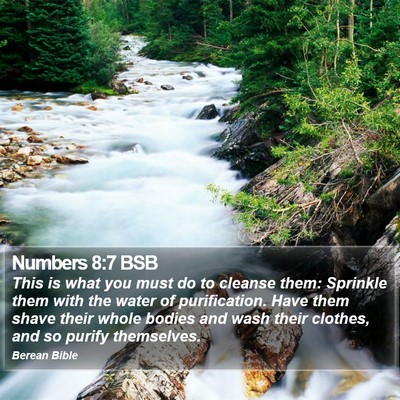 Numbers 8:7 BSB Bible Verse Image
