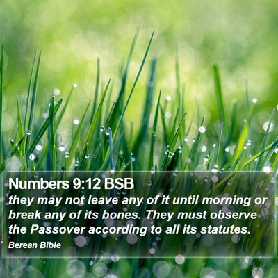 Numbers 9:12 BSB Bible Verse Image