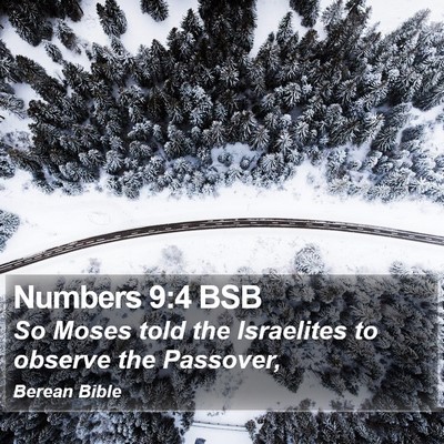 Numbers 9:4 BSB Bible Verse Image