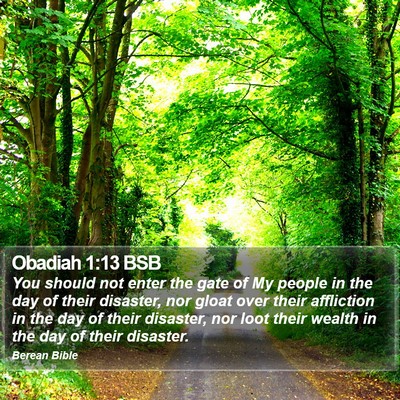 Obadiah 1:13 BSB Bible Verse Image