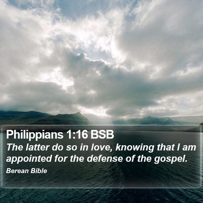 Philippians 1:16 BSB Bible Verse Image