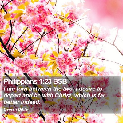 Philippians 1:23 BSB Bible Verse Image