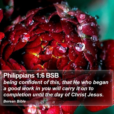 Philippians 1:6 BSB Bible Verse Image