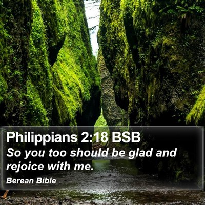 Philippians 2:18 BSB Bible Verse Image