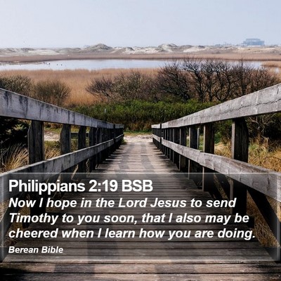 Philippians 2:19 BSB Bible Verse Image