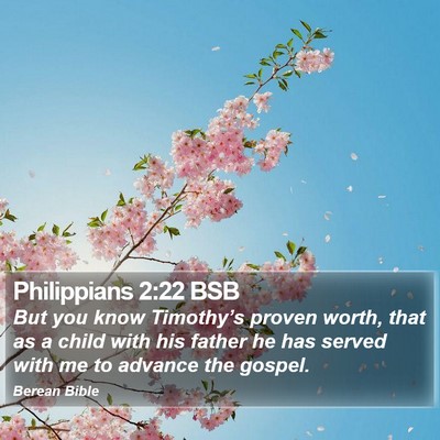Philippians 2:22 BSB Bible Verse Image