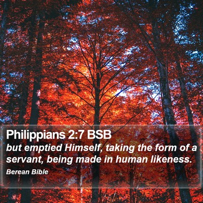 Philippians 2:7 BSB Bible Verse Image