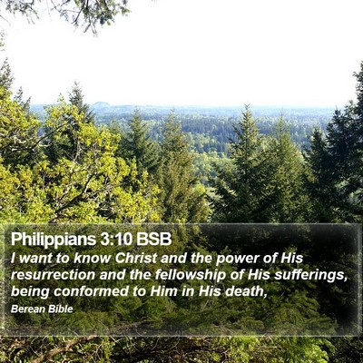 Philippians 3:10 BSB Bible Verse Image