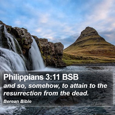 Philippians 3:11 BSB Bible Verse Image