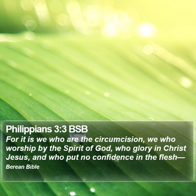 Philippians 3:3 BSB Bible Verse Image