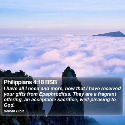 Philippians 4:18 BSB Bible Verse Image