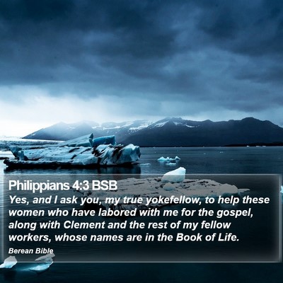 Philippians 4:3 BSB Bible Verse Image