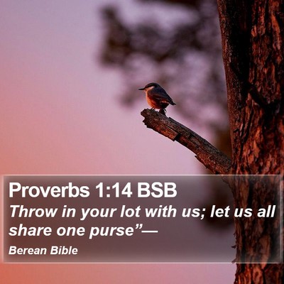 Proverbs 1:14 BSB Bible Verse Image
