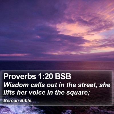Proverbs 1:20 BSB Bible Verse Image