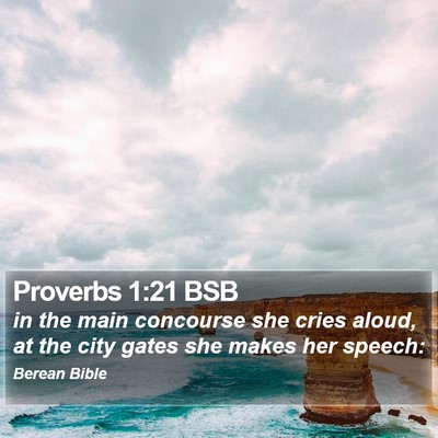 Proverbs 1:21 BSB Bible Verse Image