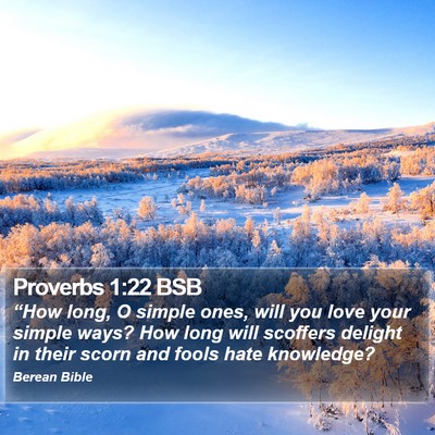 Proverbs 1:22 BSB Bible Verse Image