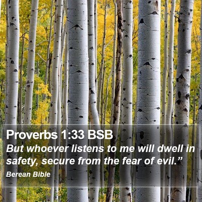 Proverbs 1:33 BSB Bible Verse Image