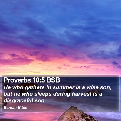 Proverbs 10:5 BSB Bible Verse Image
