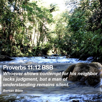 Proverbs 11:12 BSB Bible Verse Image