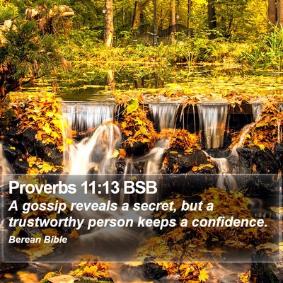 Proverbs 11:13 BSB Bible Verse Image