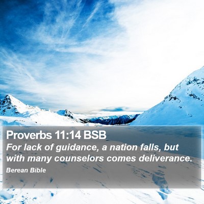 Proverbs 11:14 BSB Bible Verse Image