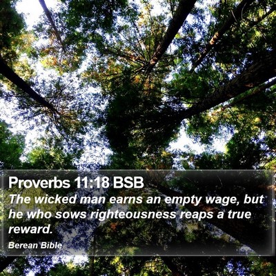 Proverbs 11:18 BSB Bible Verse Image