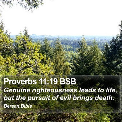 Proverbs 11:19 BSB Bible Verse Image