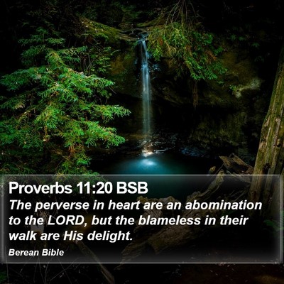Proverbs 11:20 BSB Bible Verse Image