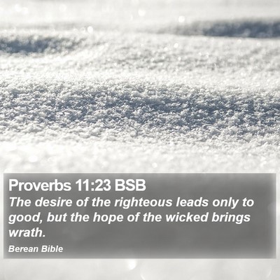Proverbs 11:23 BSB Bible Verse Image