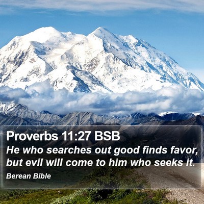 Proverbs 11:27 BSB Bible Verse Image