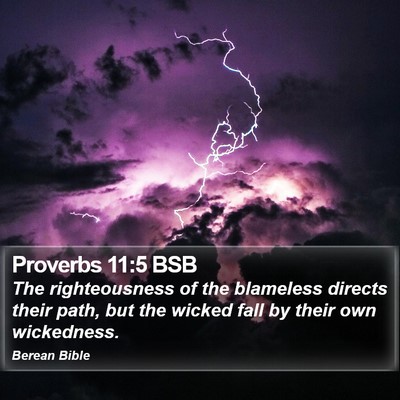 Proverbs 11:5 BSB Bible Verse Image