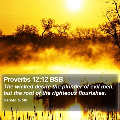 Proverbs 12:12 BSB Bible Verse Image