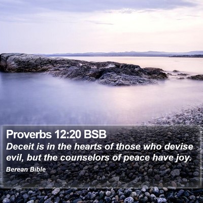 Proverbs 12:20 BSB Bible Verse Image