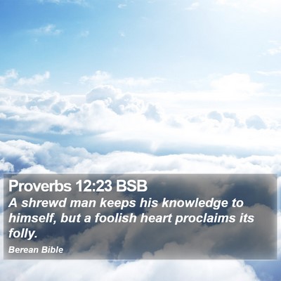Proverbs 12:23 BSB Bible Verse Image