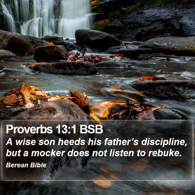 Proverbs 13:1 BSB Bible Verse Image