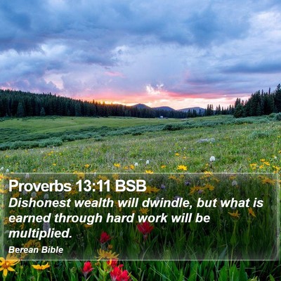 Proverbs 13:11 BSB Bible Verse Image