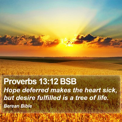 Proverbs 13:12 BSB Bible Verse Image