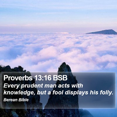 Proverbs 13:16 BSB Bible Verse Image