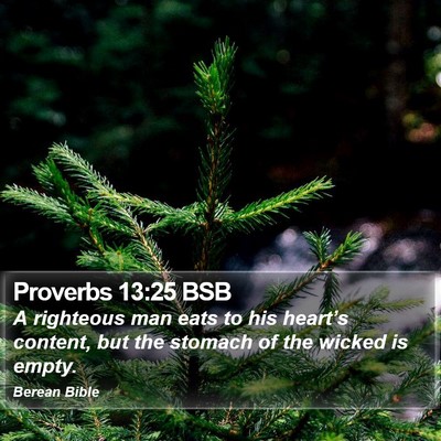 Proverbs 13:25 BSB Bible Verse Image